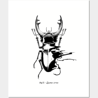 Stag Beetle Glitch Posters and Art